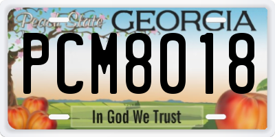 GA license plate PCM8018