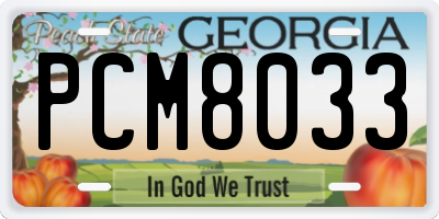 GA license plate PCM8033