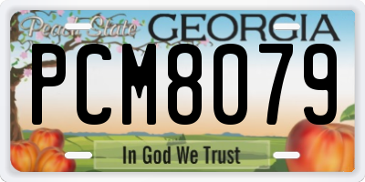 GA license plate PCM8079