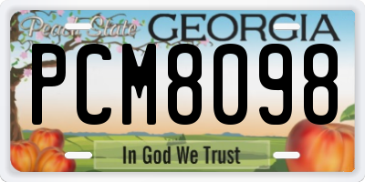 GA license plate PCM8098
