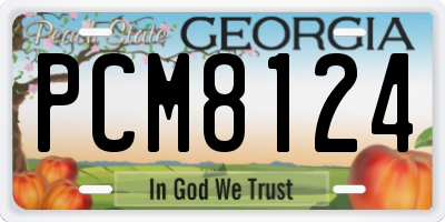 GA license plate PCM8124