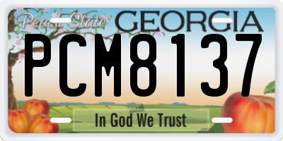 GA license plate PCM8137