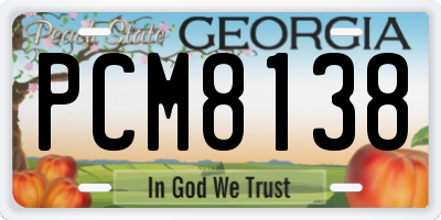 GA license plate PCM8138