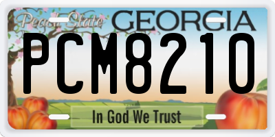 GA license plate PCM8210