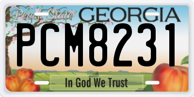 GA license plate PCM8231