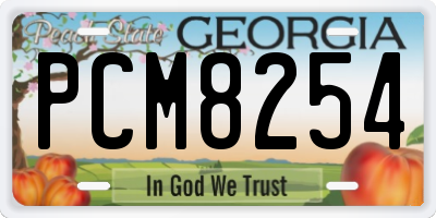 GA license plate PCM8254
