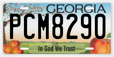 GA license plate PCM8290