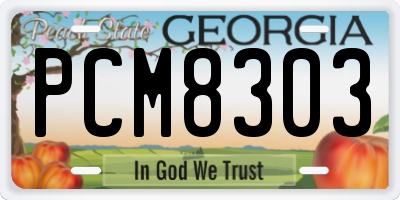 GA license plate PCM8303