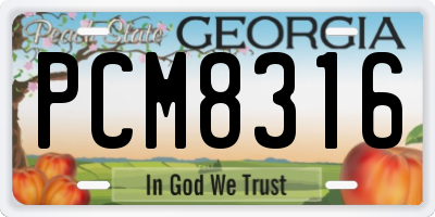 GA license plate PCM8316