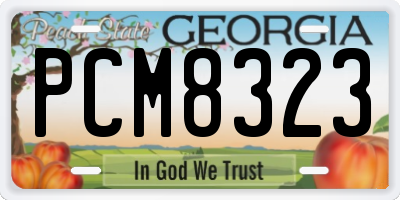 GA license plate PCM8323