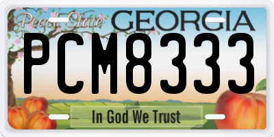 GA license plate PCM8333