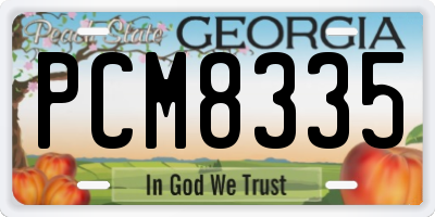 GA license plate PCM8335