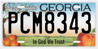 GA license plate PCM8343