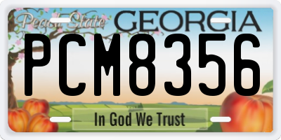 GA license plate PCM8356