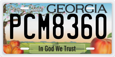 GA license plate PCM8360
