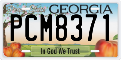 GA license plate PCM8371