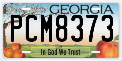 GA license plate PCM8373