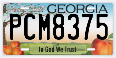 GA license plate PCM8375