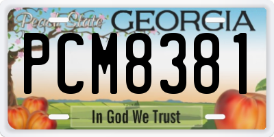 GA license plate PCM8381
