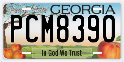 GA license plate PCM8390