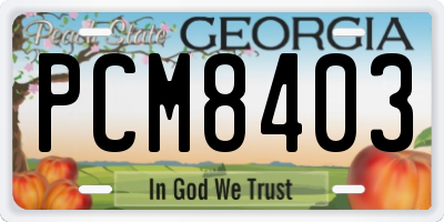 GA license plate PCM8403