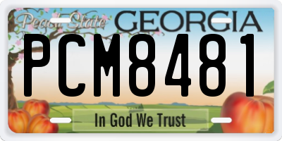 GA license plate PCM8481