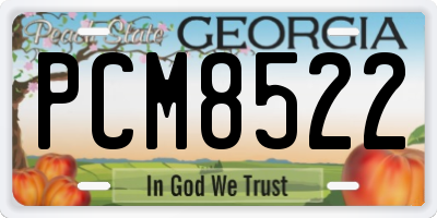 GA license plate PCM8522