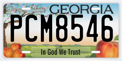 GA license plate PCM8546