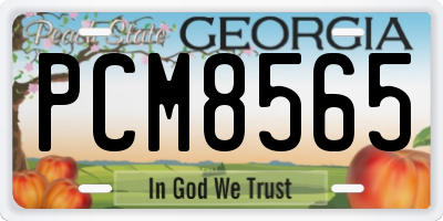 GA license plate PCM8565
