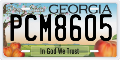 GA license plate PCM8605