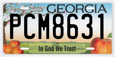 GA license plate PCM8631
