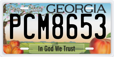 GA license plate PCM8653