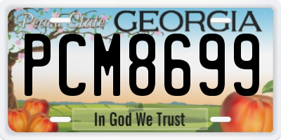 GA license plate PCM8699