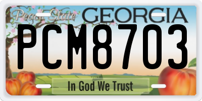 GA license plate PCM8703