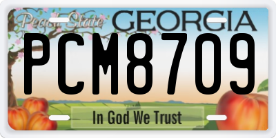GA license plate PCM8709