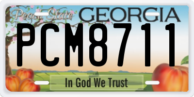 GA license plate PCM8711