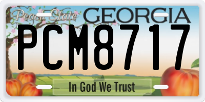 GA license plate PCM8717