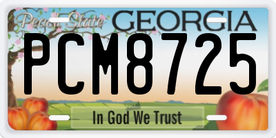 GA license plate PCM8725