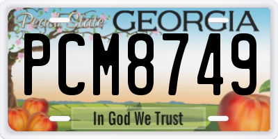 GA license plate PCM8749
