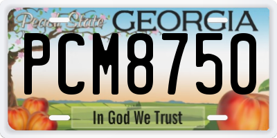 GA license plate PCM8750