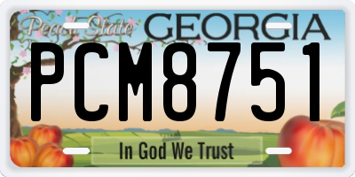 GA license plate PCM8751
