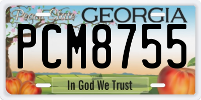 GA license plate PCM8755