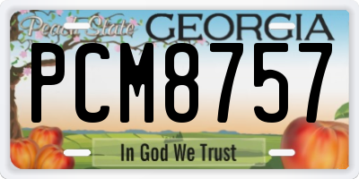 GA license plate PCM8757