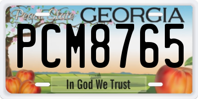 GA license plate PCM8765