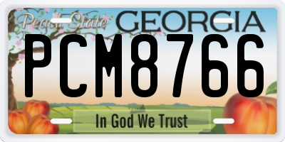GA license plate PCM8766