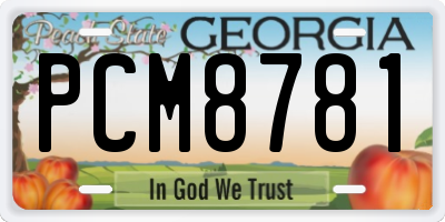 GA license plate PCM8781