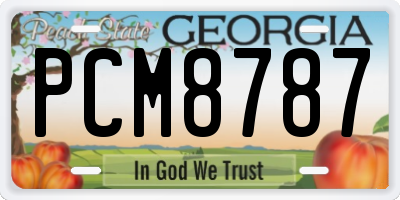 GA license plate PCM8787