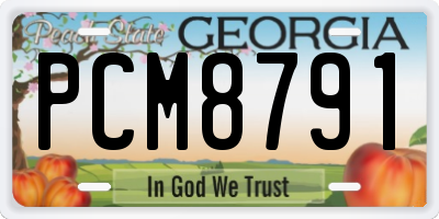 GA license plate PCM8791