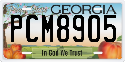 GA license plate PCM8905