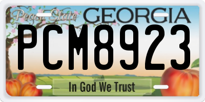 GA license plate PCM8923